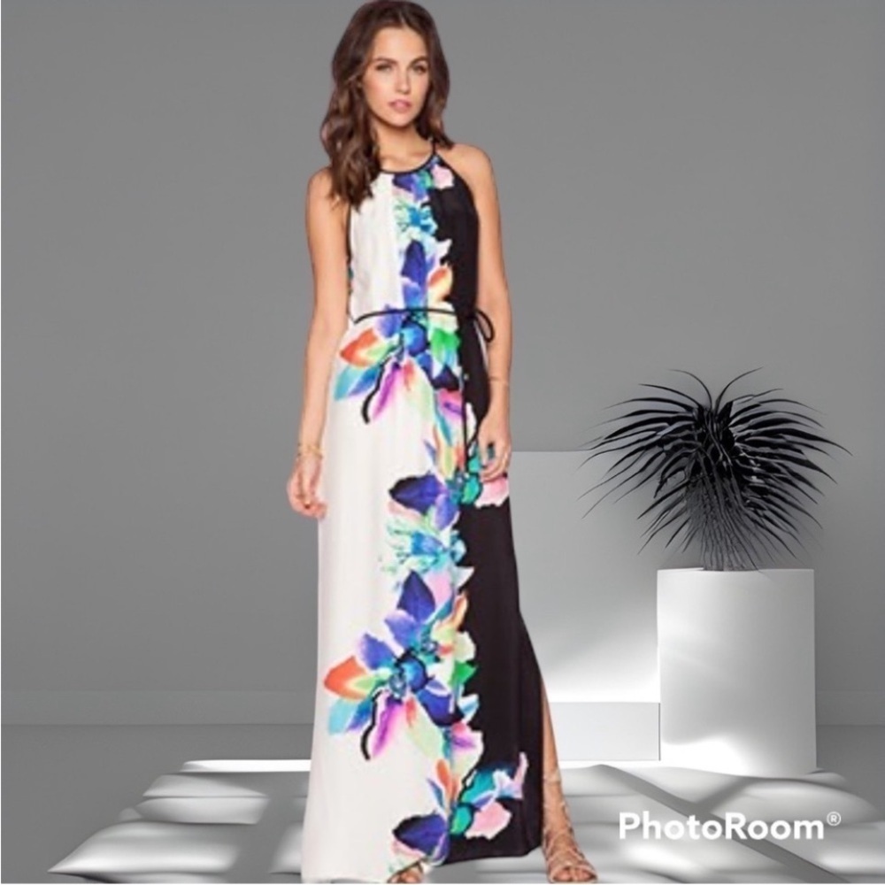 Amanda Uprichard Perry Bali bold Floral Print sleeveless silk regal Maxi Dress